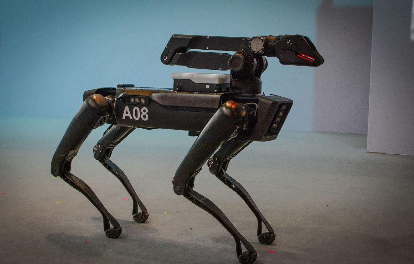 ¿Los perros robot hacen reconocimiento facial? Separamos lo verdadero de lo falso ¿Los perros robot hacen reconocimiento facial? Separamos lo verdadero de lo falso